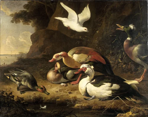 Ducks by Melchior d' Hondecoeter, painting, 1675-1680