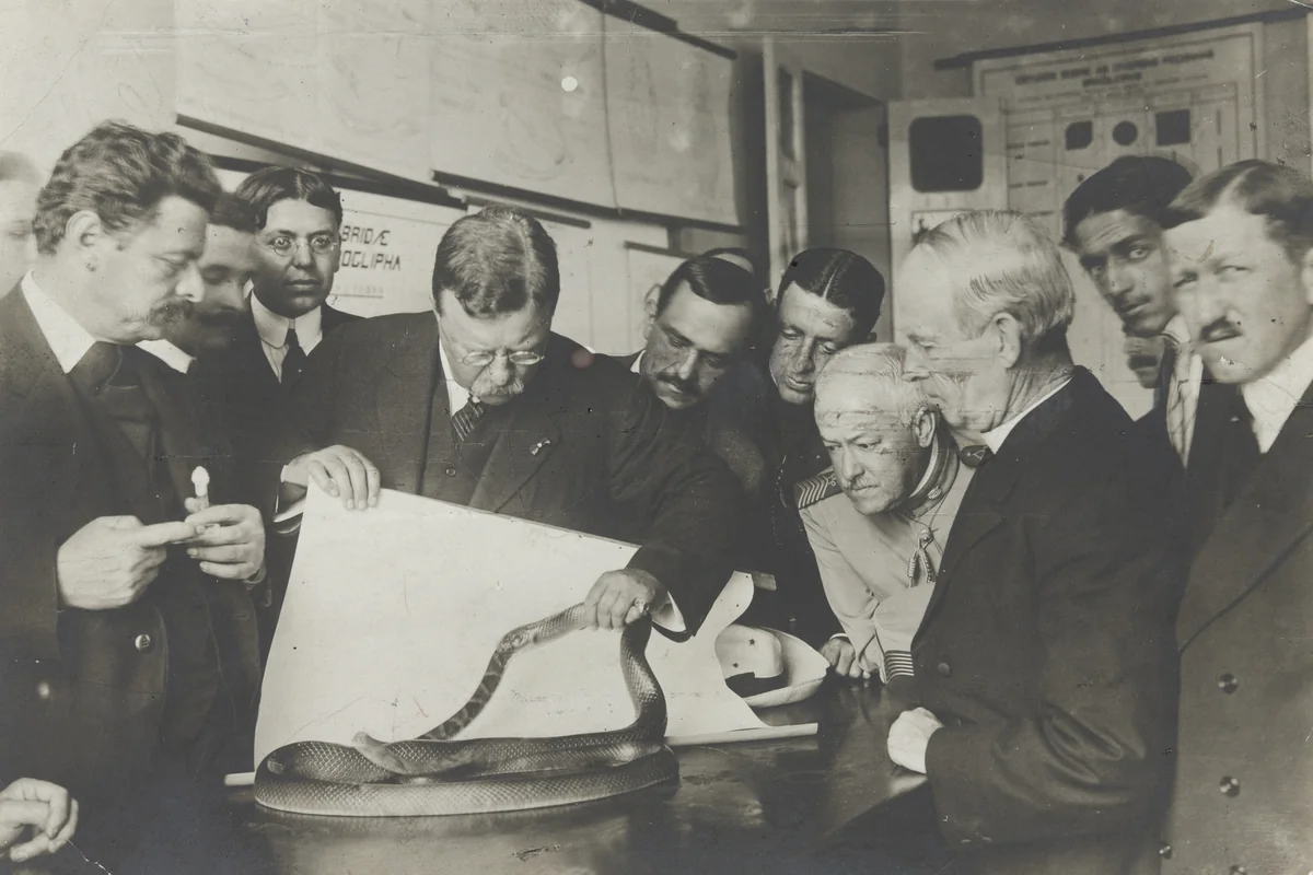 President Theodore Roosevelt in Sao Paolo by George Grantham Bain, photograph, 1914