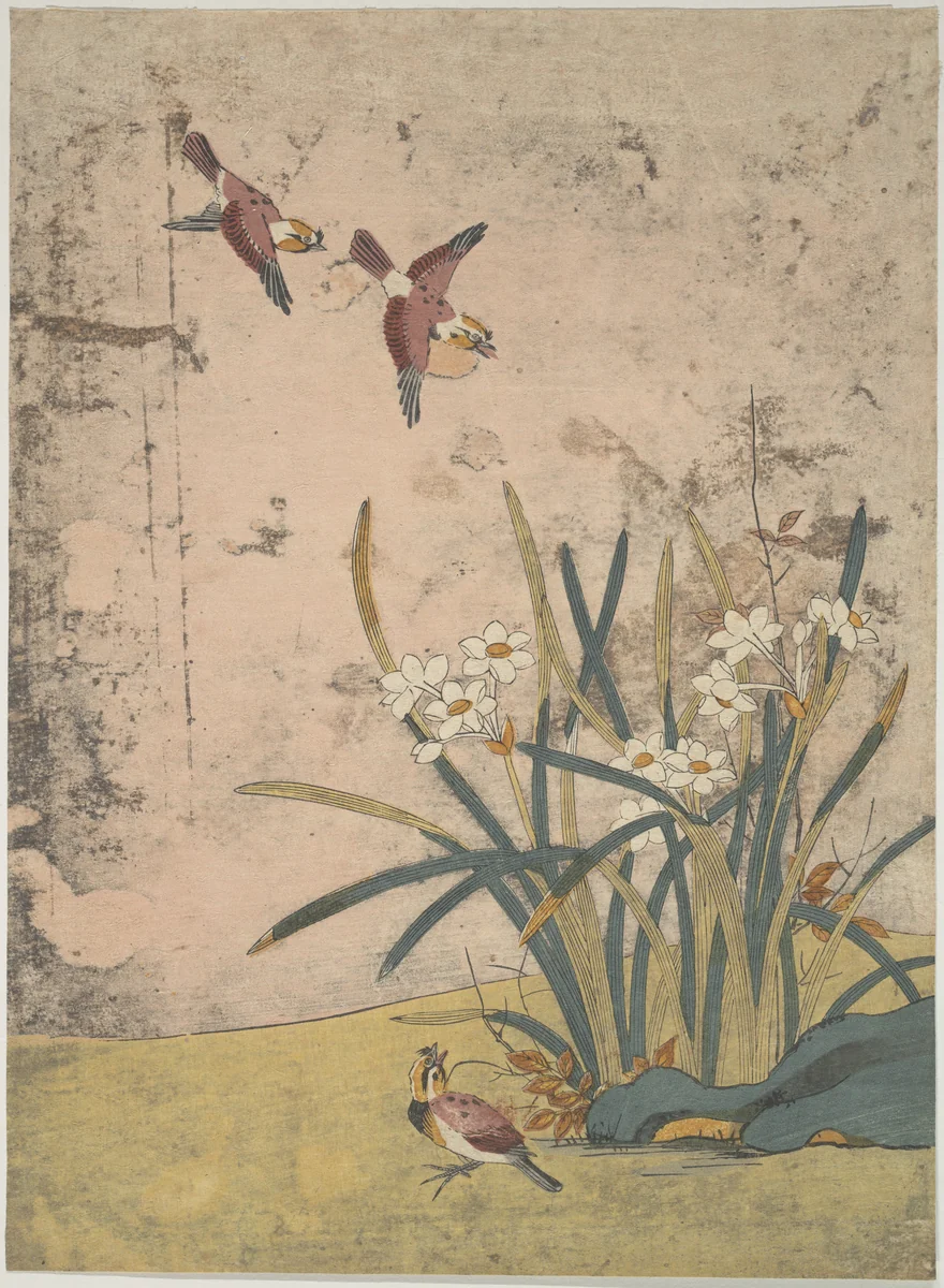 Birds and Narcissus by Suzuki Harunobu (鈴木春信), print, 1725-1770