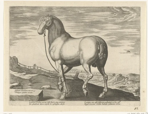 Paard uit Corsica by Unknown, print, 1578-1580