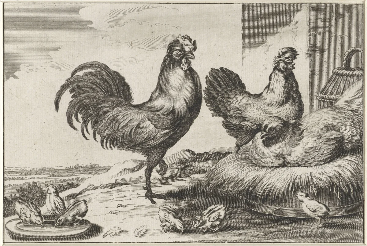 Kip, hanen en kuikens by anonymous, print, 1654-1712