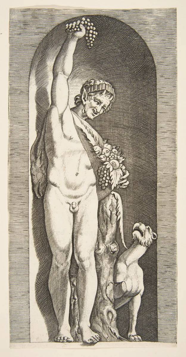 A faun standing in a niche holding aloft a bunch of grapes with his right hand and fruit with his left hand, a dog lower right by Marco Dente, print, 1510-1532