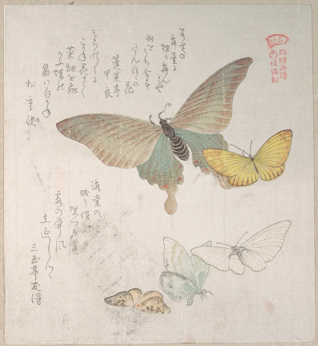Various Moths and Butterflies by Kubo Shunman (窪俊満), print, 1800-1899