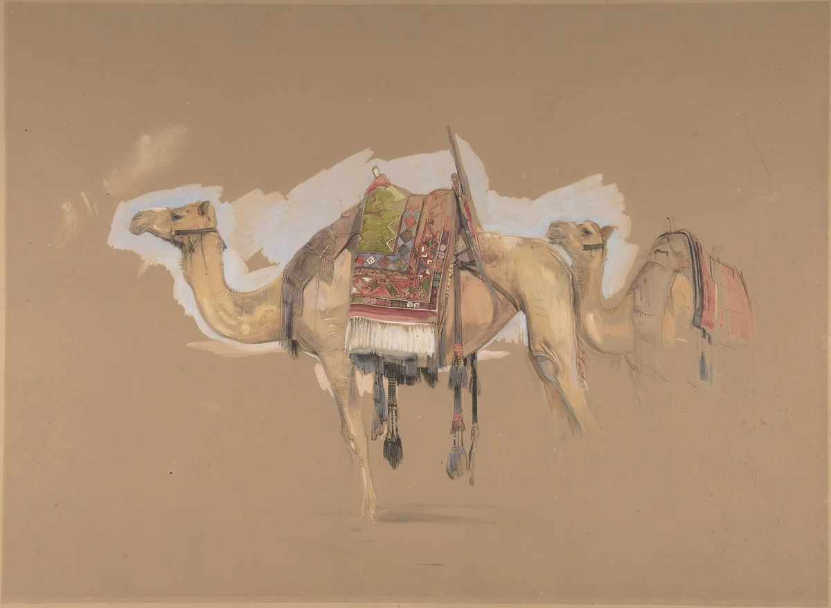 Two Camels by John Frederick Lewis, drawing, 1838-1848