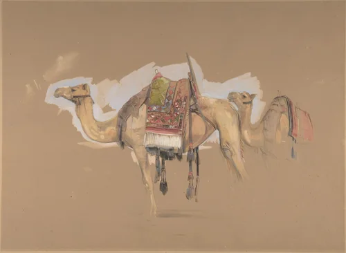 Two Camels by John Frederick Lewis, drawing, 1838-1848