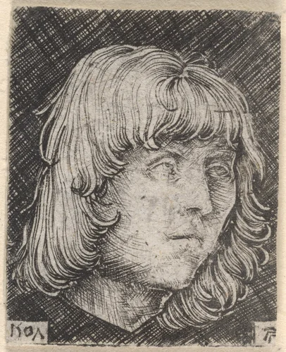 Head of a Young Man by Albrecht Altdorfer, print, 1507