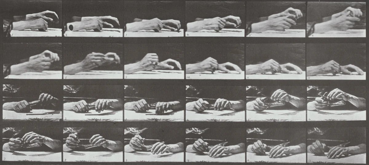 Plate Number 536. Movement of the hand, hand changing pencil by Eadweard Muybridge, photograph, 1887