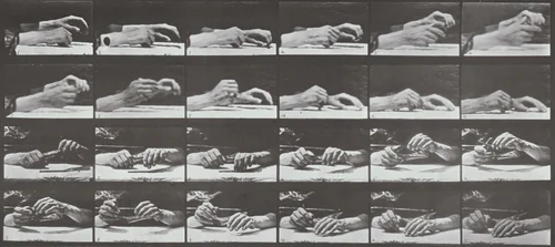 Plate Number 536. Movement of the hand, hand changing pencil by Eadweard Muybridge, photograph, 1887