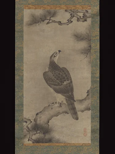 Hawk on a Pine by Kano Yukinobu (狩野之信), painting, 1534-1566