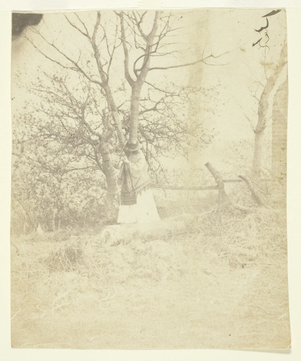 Mrs. Craik by Benjamin Mulock, photograph, 1850-1859