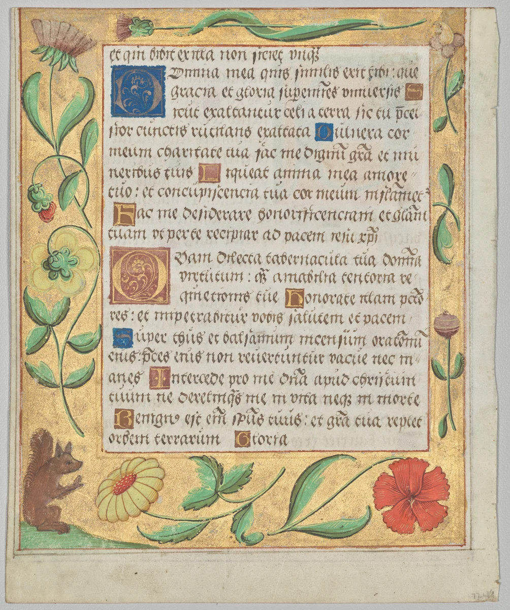 Leaf from a Psalter and Prayerbook: Ornamental Border with Flowers and Squirrel (verso) by Unknown, manuscript, 1519-1529