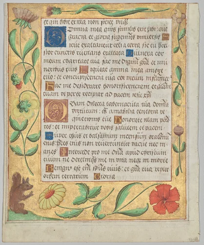 Leaf from a Psalter and Prayerbook: Ornamental Border with Flowers and Squirrel (verso) by Unknown, manuscript, 1519-1529