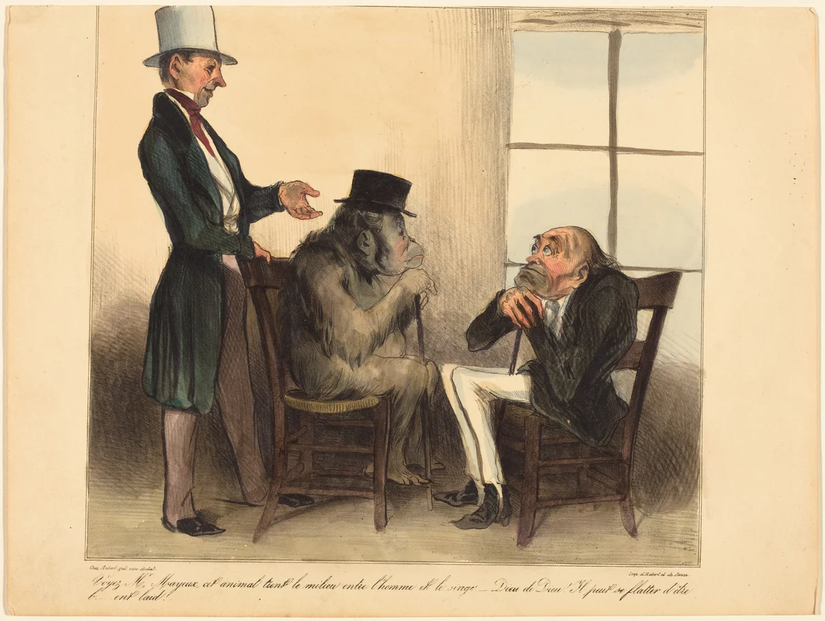 Voyez, Mr. Mayeux, cet animal... by Honoré Daumier, print, 1836