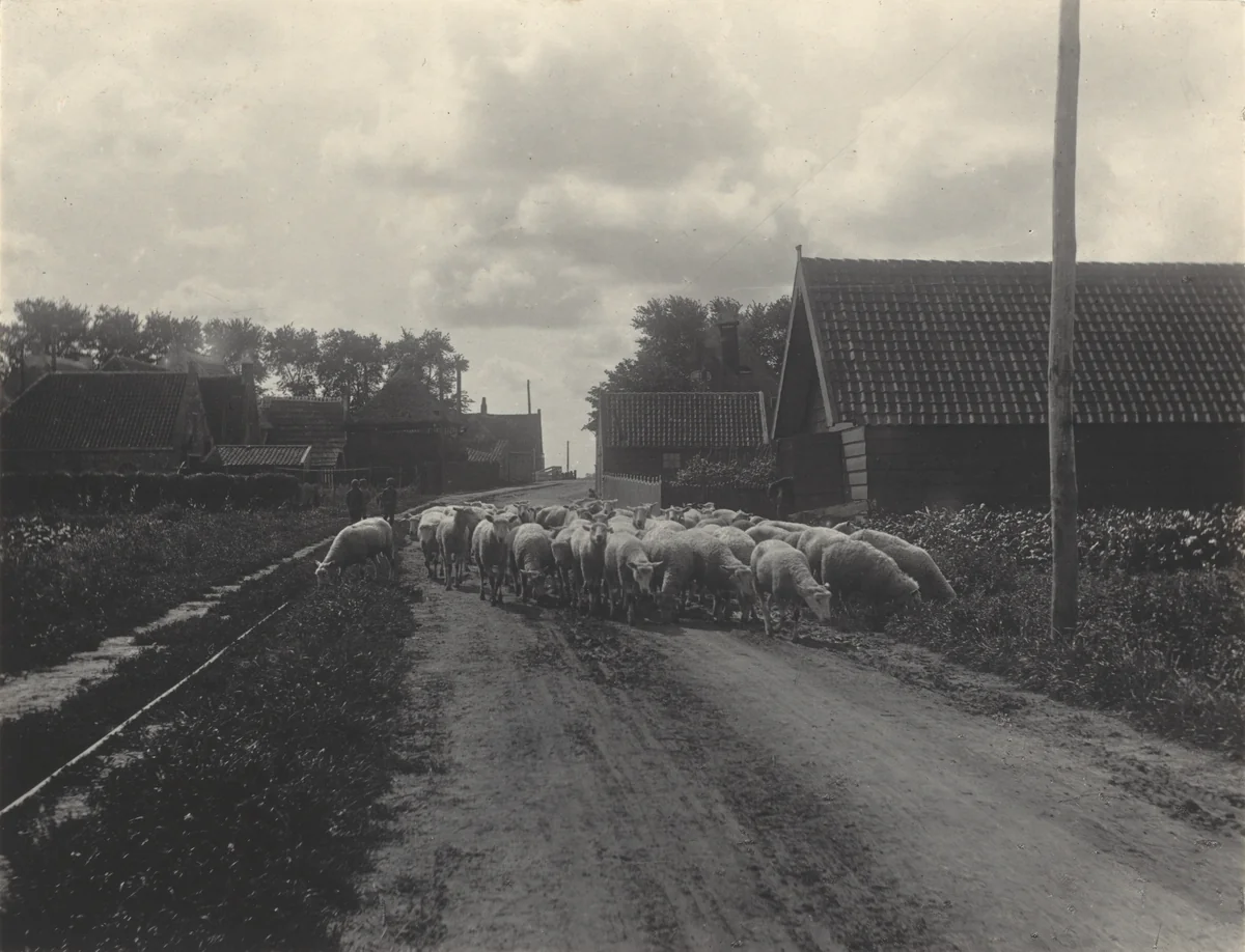 Going to Pasture by Alfred Stieglitz, photograph, 1894