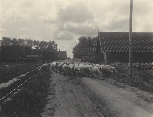 Going to Pasture by Alfred Stieglitz, photograph, 1894