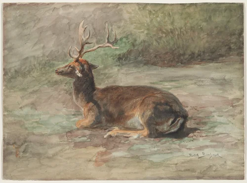 Stag Lying Down by Rosa Bonheur, drawing, 1870-1890