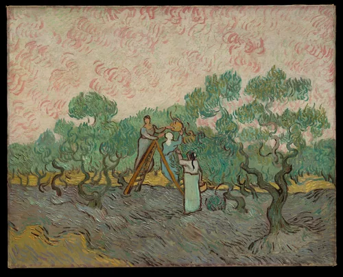 Women Picking Olives by Vincent van Gogh, painting, 1889