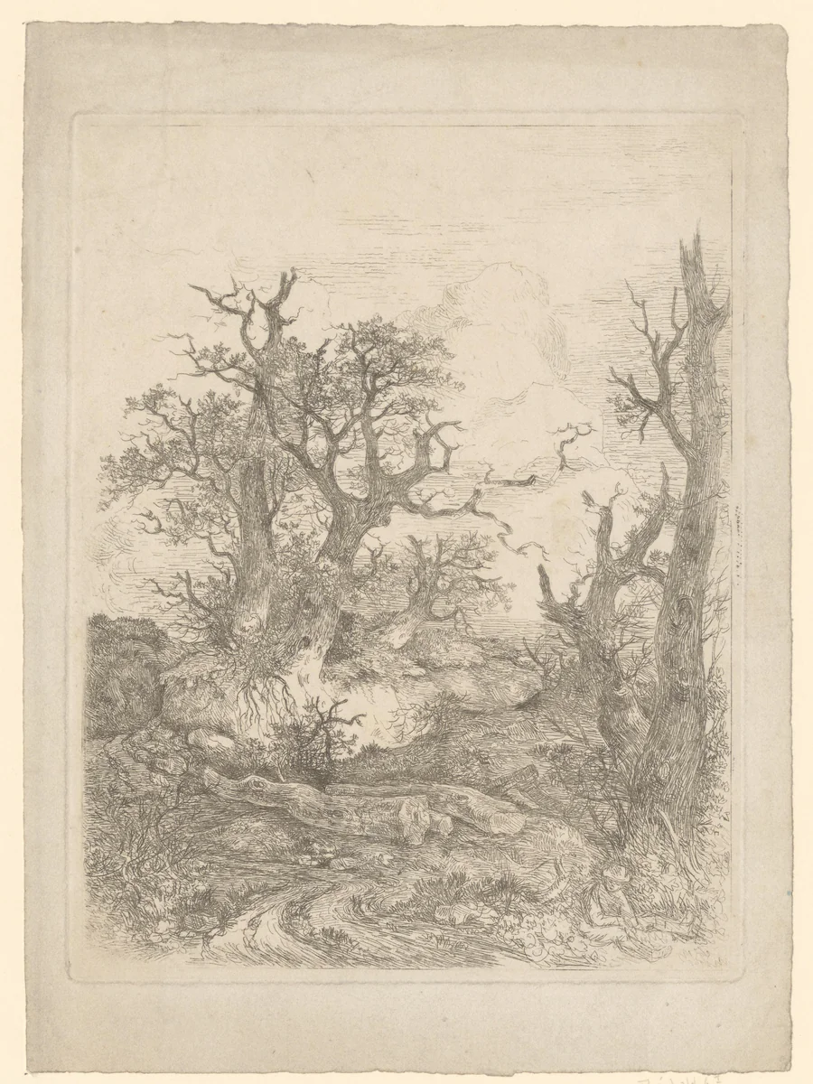 Jongen zit voor een kale boom, in het midden drie boomstammen by John Crome, print, 1811-1812