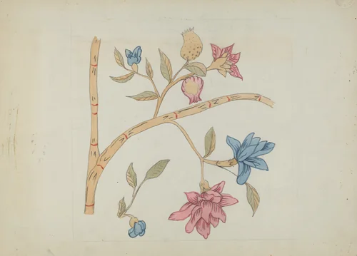 Applique Quilt by Mildred Prince, index of american design, 1936