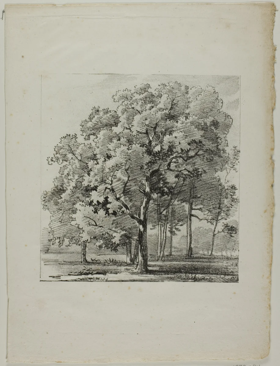 Study of Trees by Louis Pierre Baltard, print, 1812-1822