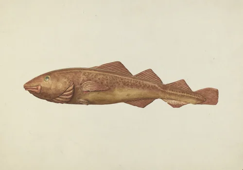 Fish Woodcarving by Ingrid Selmer-Larsen, index of american design, 1938