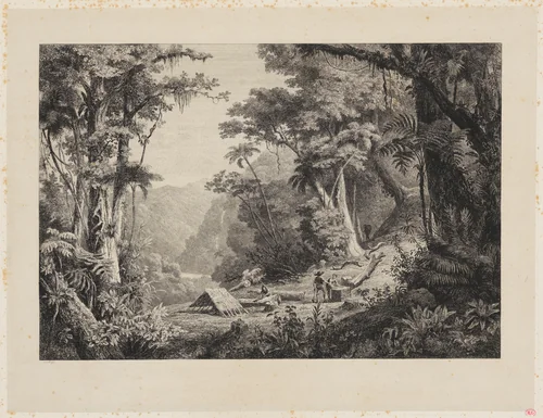 Valley of San Juan del Oro (Harvesting Cinchona Bark) by Charles-François Daubigny, print, 1849