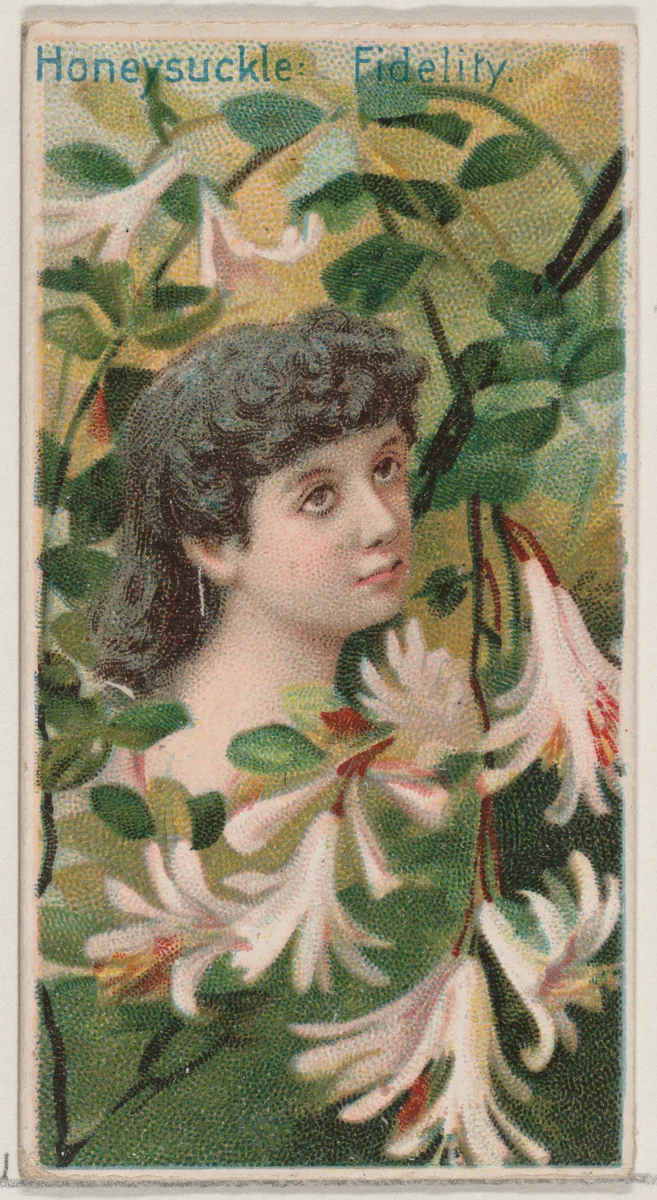 Honeysuckle: Fidelity, from the series Floral Beauties and Language of Flowers (N75) for Duke brand cigarettes by American Tobacco Company, print, 1892