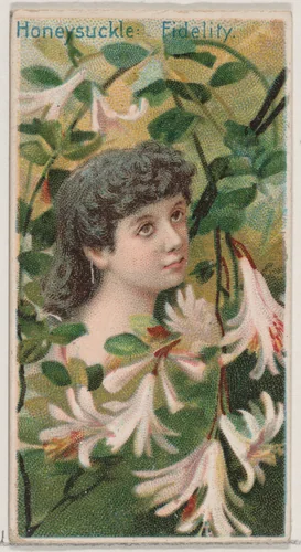 Honeysuckle: Fidelity, from the series Floral Beauties and Language of Flowers (N75) for Duke brand cigarettes by American Tobacco Company, print, 1892