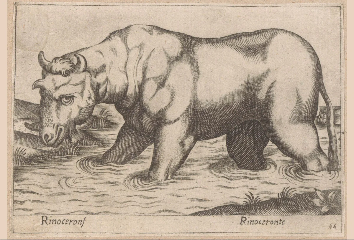 Neushoorn by Antonio Tempesta, print, 1565-1630