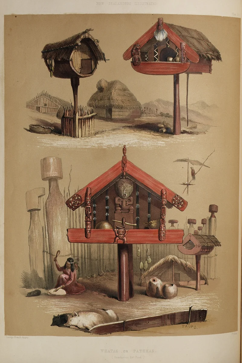The New Zealanders by George French Angas, artwork, 1847