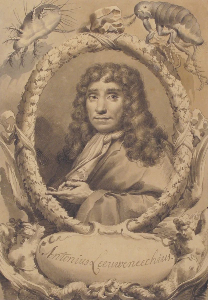 The Dutch Microscopist Anton van Leeuwenhoek by Gaetano Gandolfi, drawing, 1734-1802