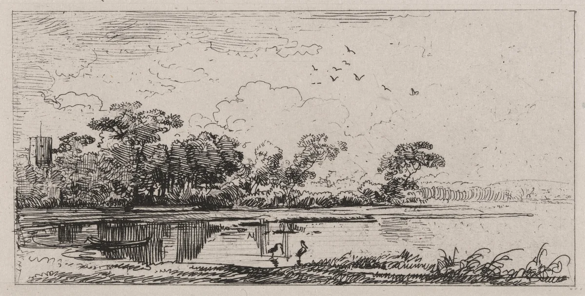 Lowland Marsh with Water Birds by Caspar Johann Nepomuk Scheuren, print, 1842