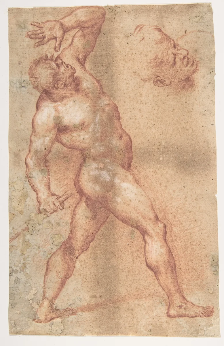 Male Nude with Left Arm Upraised, and a Further Study of His Head by Aniello Falcone, drawing, 1607-1656