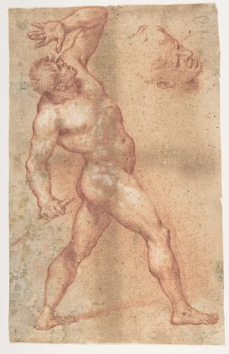 Male Nude with Left Arm Upraised, and a Further Study of His Head by Aniello Falcone, drawing, 1607-1656
