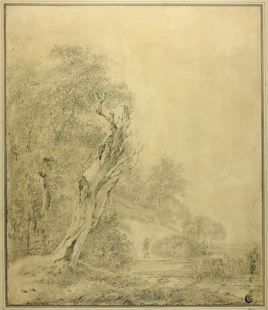 Dead Tree at Water's Edge, Figure Approaching with Pole by Jacob van Ruisdael, drawing, 1648-1682