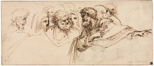 Study of Heads (recto) by Agostino Carracci, drawing, 1550-1602