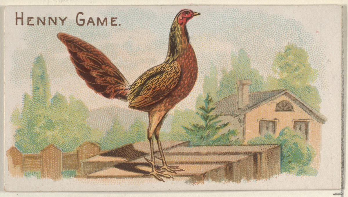 Henny Game, from the Prize and Game Chickens series (N20) for Allen & Ginter Cigarettes by Allen & Ginter, print, 1891