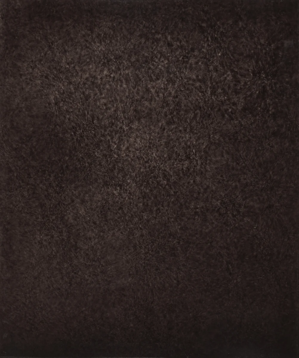 Région Centrale (Grand Réseau), October 19, 1877, 8h 11m 27s by Jules Janssen, photograph, 1877