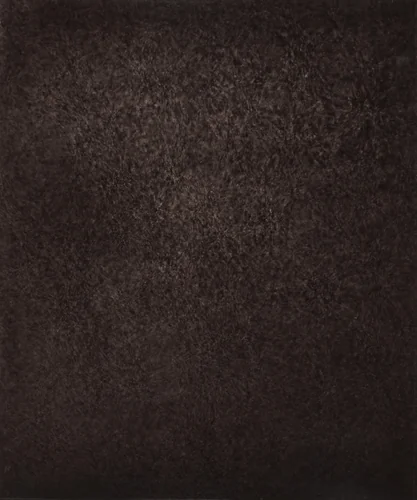 Région Centrale (Grand Réseau), October 19, 1877, 8h 11m 27s by Jules Janssen, photograph, 1877