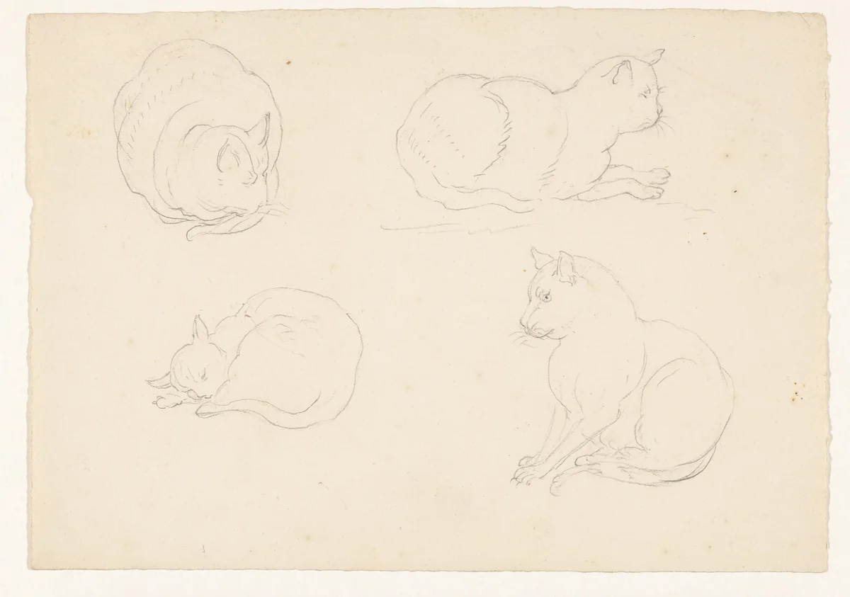 Vier schetsen van een kat, in verschillende houdingen by Pieter Bartholomeusz. Barbiers, drawing, 1782-1837