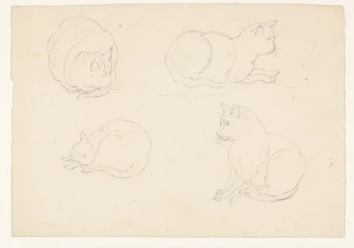 Vier schetsen van een kat, in verschillende houdingen by Pieter Bartholomeusz. Barbiers, drawing, 1782-1837