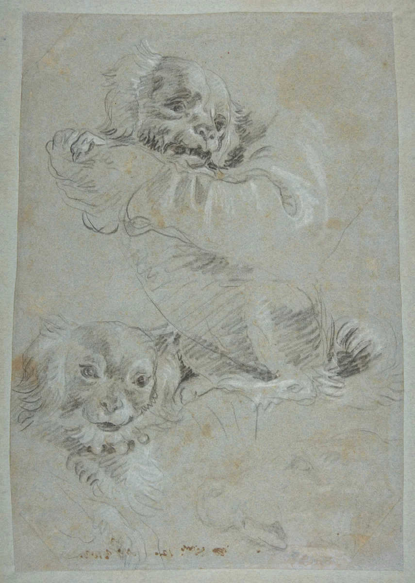 Three Dogs by Giovanni Domenico Tiepolo, drawing, 1727-1804