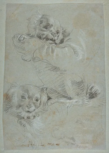 Three Dogs by Giovanni Domenico Tiepolo, drawing, 1727-1804