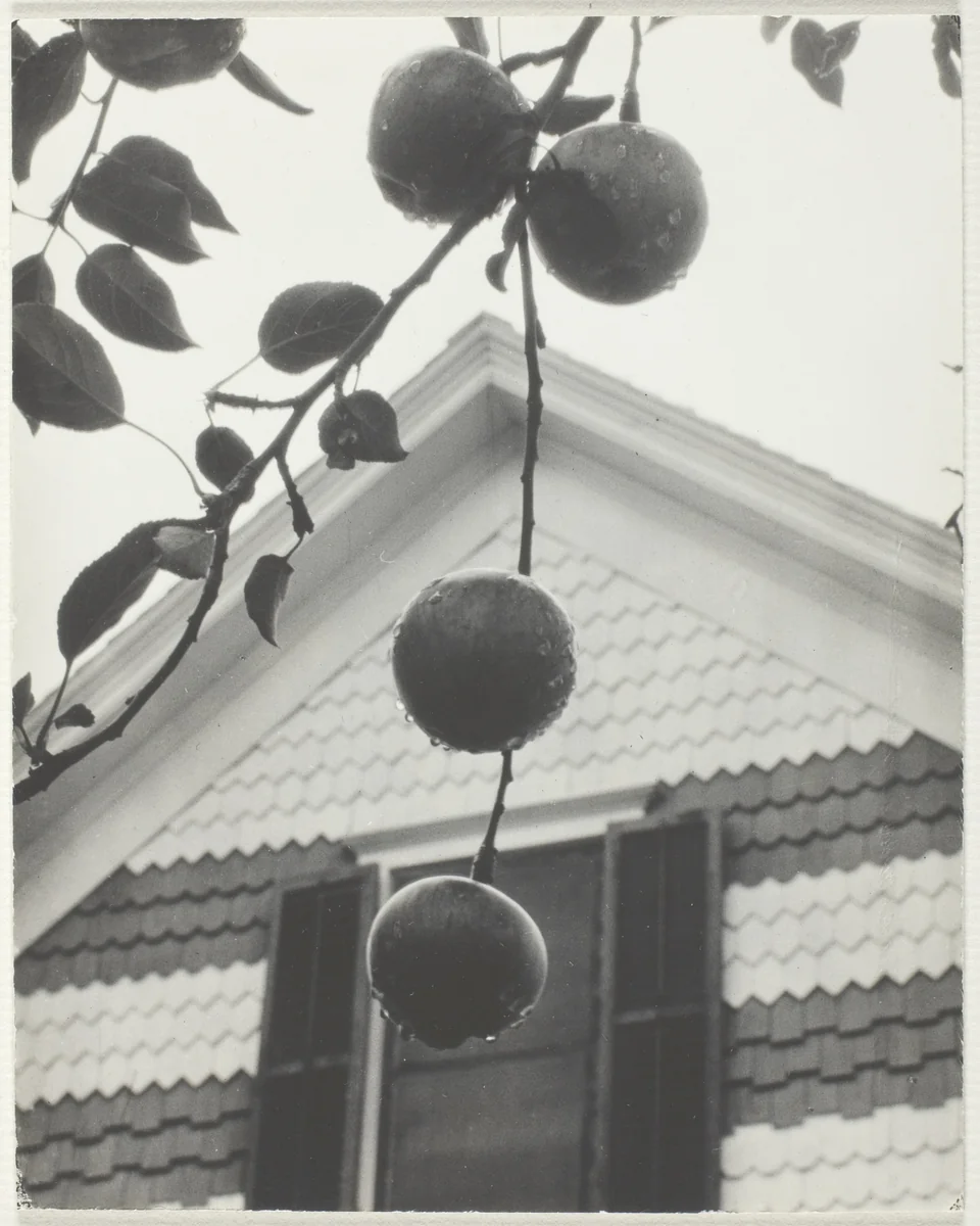 Gable and Apples by Alfred Stieglitz, photograph, 1922