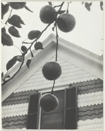 Gable and Apples by Alfred Stieglitz, photograph, 1922