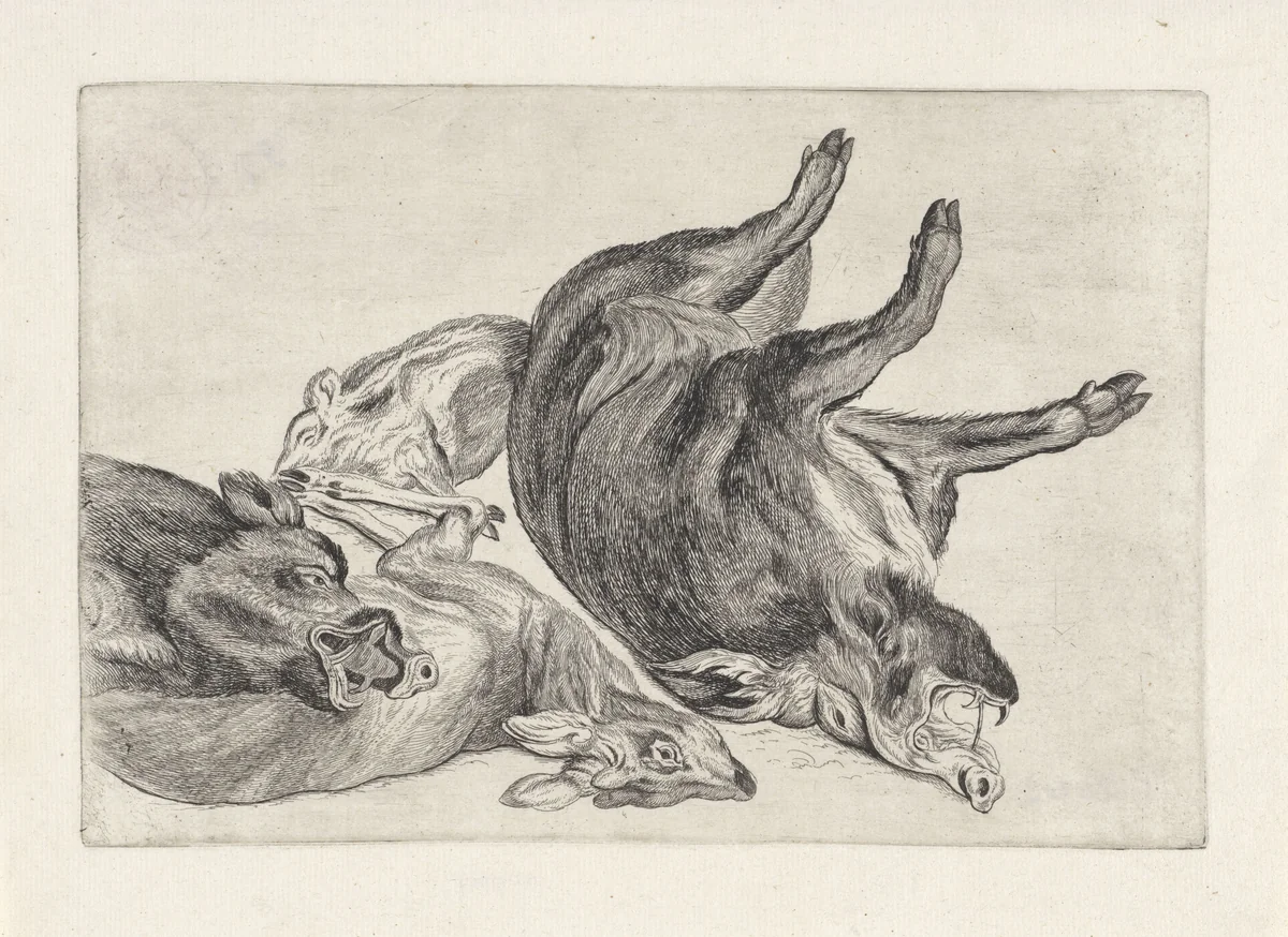 Geschoten wild: een dood hert en wilde zwijnen by Wenceslaus Hollar, print, 1646-1647