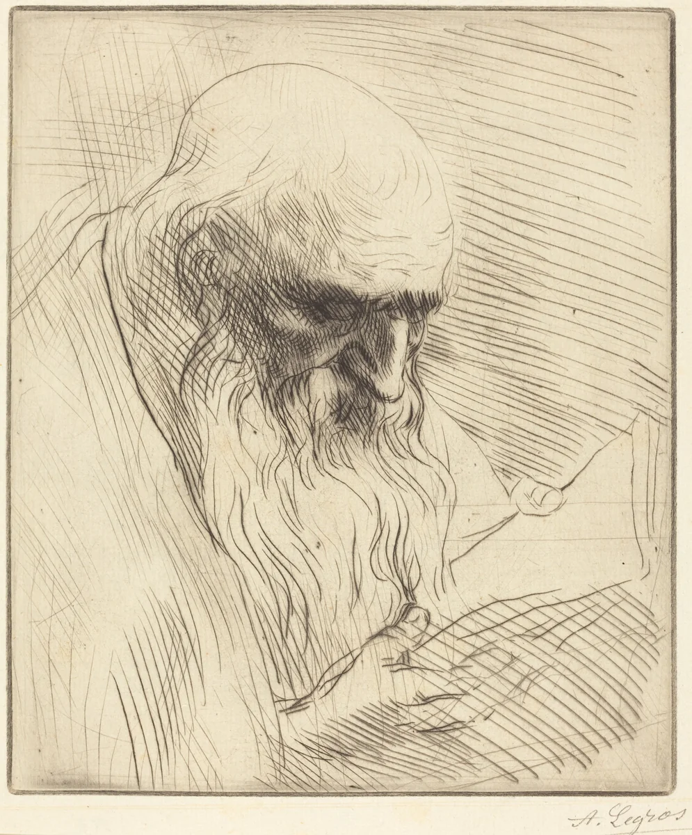 Study of the Head of a Man Reading (Etude de tete d'homme lisant) by Alphonse Legros, print, 1837-1911