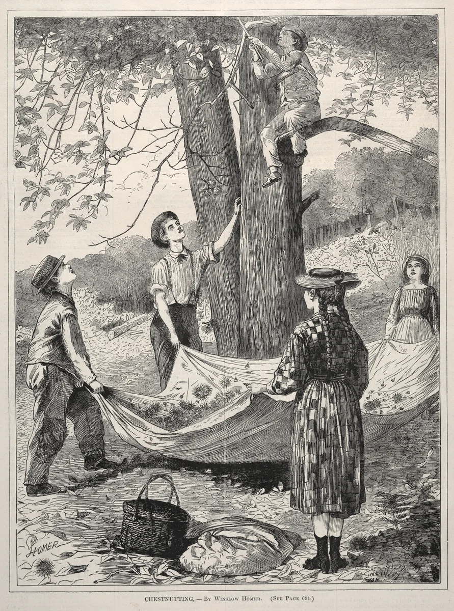 Chestnutting by Winslow Homer, print, 1870