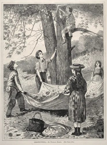 Chestnutting by Winslow Homer, print, 1870