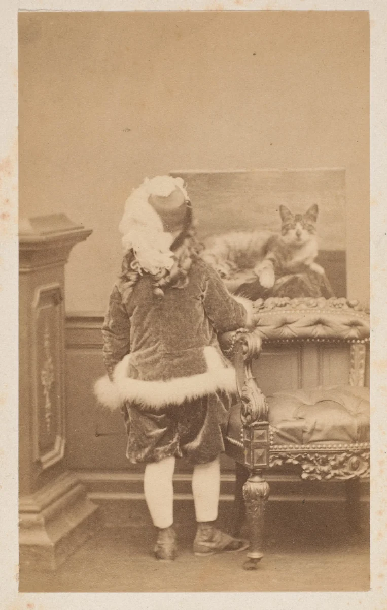 La veste de cygne by Pierre-Louis Pierson, photograph, 1860-1869